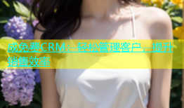 成免费CRM：轻松管理客户，提升销售效率