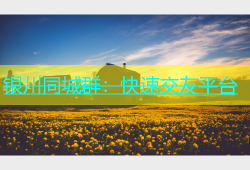 银川同城群：快速交友平台