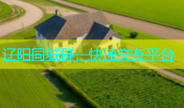 辽阳同城群，快速交友平台