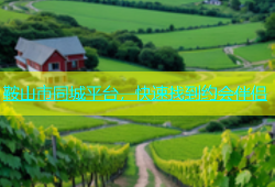 鞍山市同城平台，快速找到约会伴侣