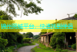 锦州同城平台，快速找到伴侣
