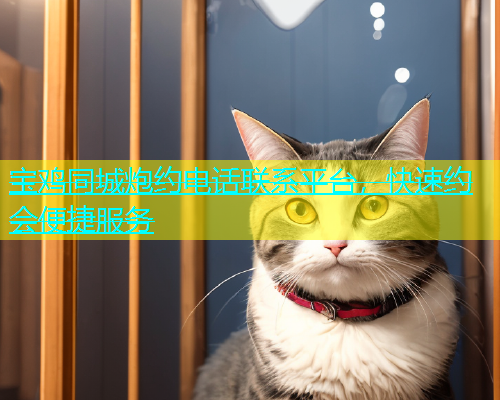 宝鸡同城炮约电话联系平台，快速约会便捷服务