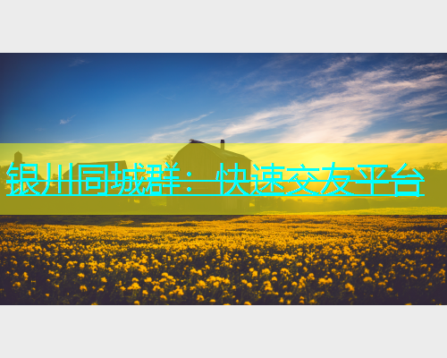 银川同城群：快速交友平台